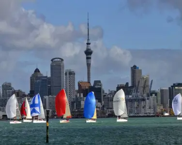 Best New Zealand Tour Package