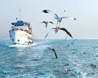 Cox’s Bazar – Saint Martins Island Package (Non AC)