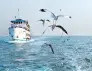 coxs-bazar-saint-martins-island-package