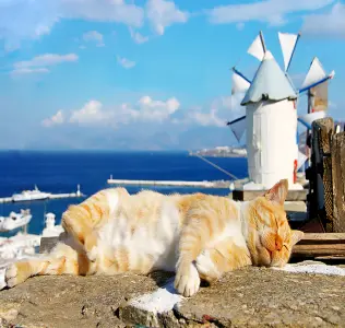Greece & Santorini Tour Package From Bangladesh