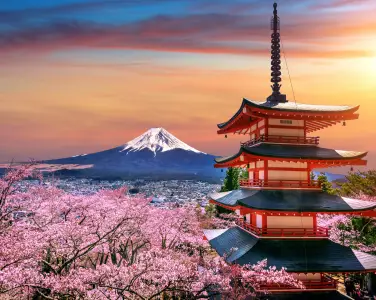 Japan Group Tour Package