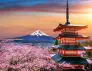 japan-group-tour-package
