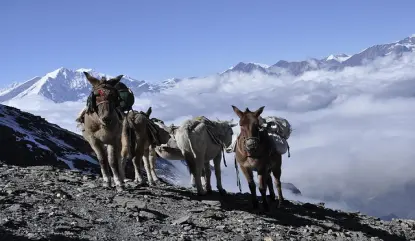 Nepal