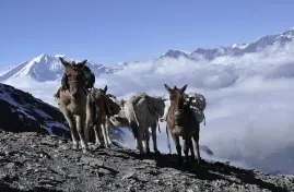 Nepal Tour Packages from Bangladesh