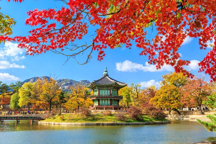 Special Korea + China Tour Package