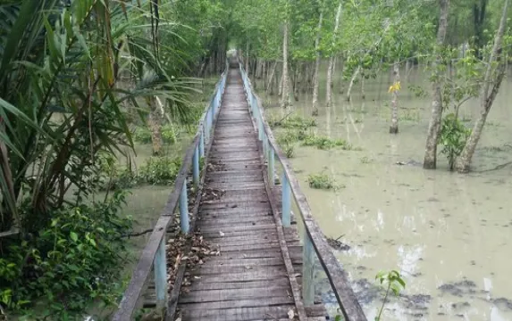 Dhaka - Sundarban - Dhaka Image