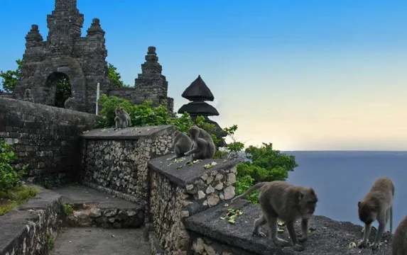 Special Bali Tour Package For Honeymoon Image